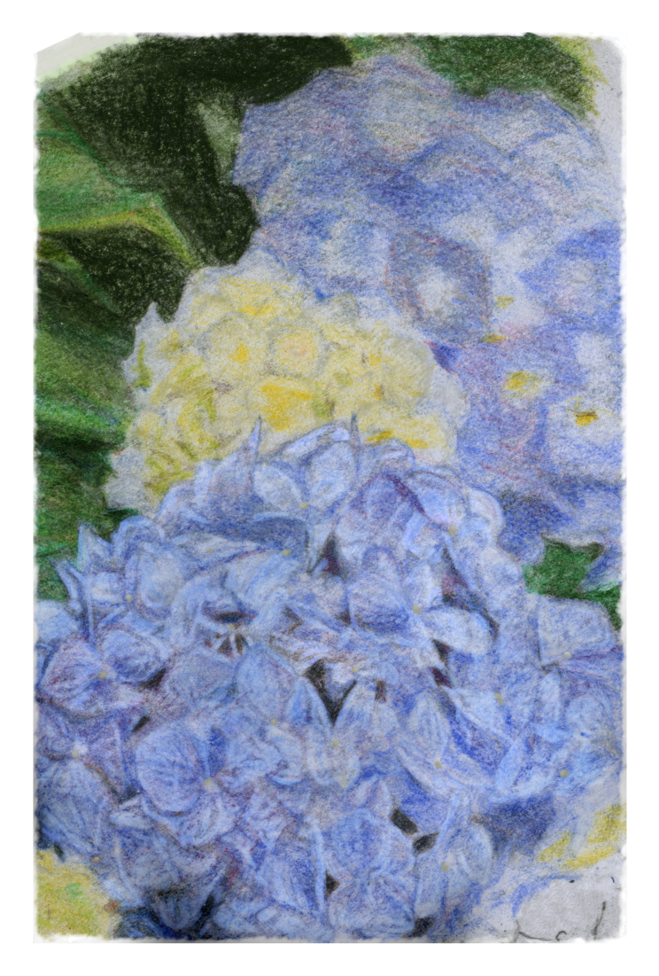  2021喪中 | 烏野の箱庭 